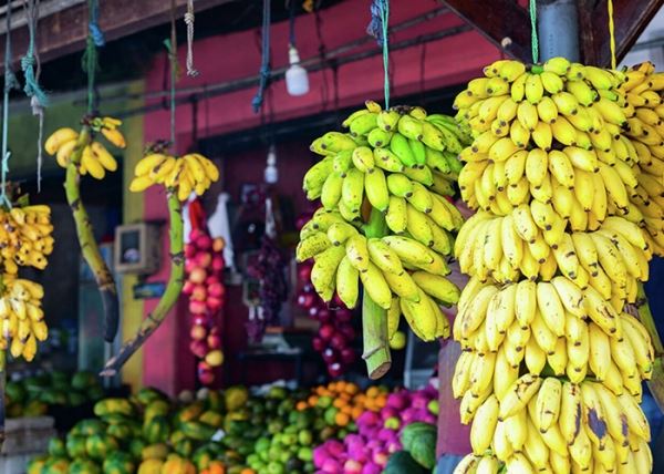 ​Бананы оказались под угрозой исчезновения