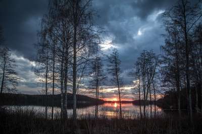 Финляндия заняла первое место в рейтинге стран для путешествий по дикой природе