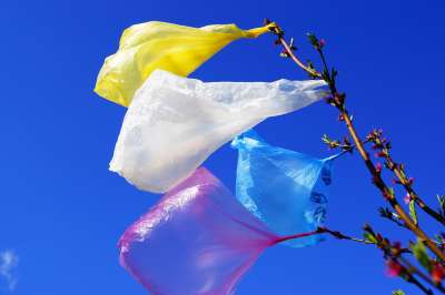 Германия планирует запретить одноразовые пластиковые пакеты