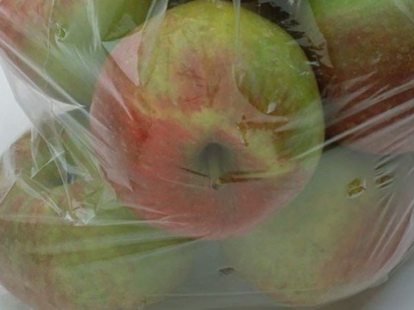 Как сохранить урожай яблок зимой