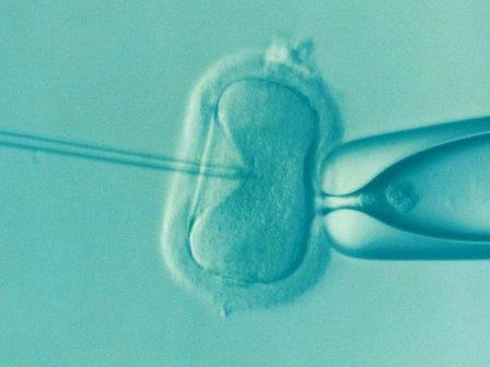 В ДНК младенцев нашли эпигенетические следы репродуктивных технологий