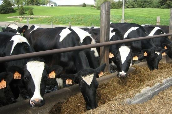 <br />
Минсельхоз предложил установить размеры госпошлин за регистрацию кормовых добавок для животных<br />

