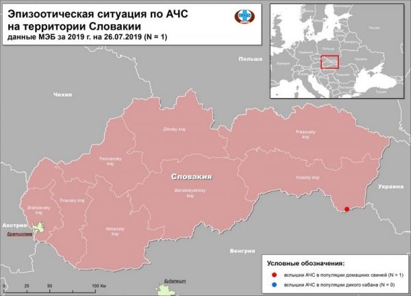 В Словакии зарегистрирован первый очаг АЧС