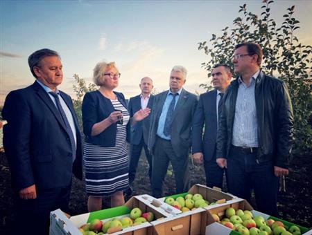 <br />
Дмитрий Азаров осмотрел сады ОАО «Сургутское» и ознакомился с ходом уборки урожая яблок<br />
