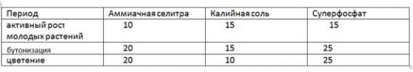 Гортензия древовидная: посадка и уход